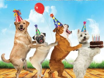 Happy-Birthday-Dog